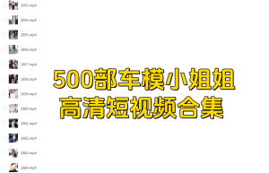 500部车模小姐姐高清短视频合集【电商热销953】-北极星资源库