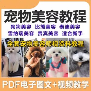 宠物美容教程-全套狗狗修剪修毛造型洗澡护理宠物师培训教学视频课程【电商热销997】-北极星资源库