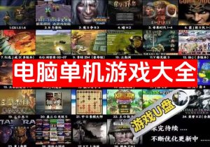 电脑单机经典游戏大全【高速 U 盘】大型怀旧红警三国志街机游戏 PC 经典【56.4GB】电商热销988-北极星资源库