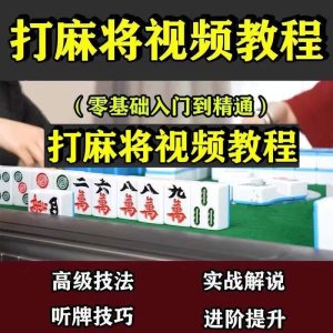 零基础打麻将技巧视频教程-入门精通自学课程手法攻略技术教学【电商热销1212】-北极星资源库