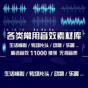 精选11000例各类常用音效素材库-生活场景转场片头动物叫声乐器枪声音效素材【电商热销1433】-北极星资源库