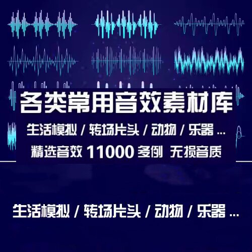 图片[1]-精选11000例各类常用音效素材库-生活场景转场片头动物叫声乐器枪声音效素材【电商热销1433】-暗冰资源网