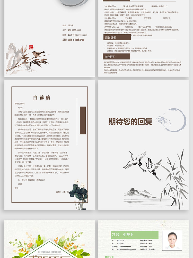 图片[43]-188套护士简历模板-医学影像药学临床医生护理专业医护求职面试简历【电商热销】-暗冰资源网