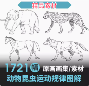 1721幅原画画集素材【动物昆虫运动规律图解】-动物昆虫图解素材合集 CG 动画 原画动作表演参考素材【电商热销67】-北极星资源库