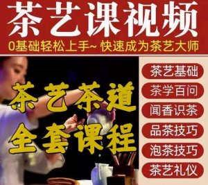 零基础茶艺茶道视频教程-茶艺培训全套新手入门泡茶师品茶教学自学课程【电商热销628】-北极星资源库