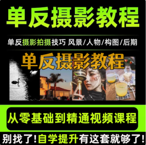 零基础单反相机摄影教程-微单拍照视频入门技巧人像构图后期网课【电商热销585】-北极星资源库