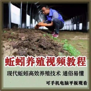 蚯蚓养殖技术视频教程素材零基础农业创业大棚如何养蚯蚓高效素材【电商热销569】-北极星资源库