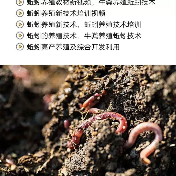 图片[3]-蚯蚓养殖技术视频教程素材零基础农业创业大棚如何养蚯蚓高效素材【电商热销569】-暗冰资源网