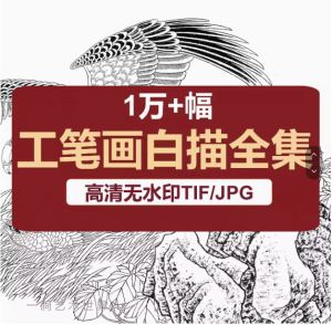 1万+128G工笔画白描底稿高清图片集素材小品人物花鸟观音线稿临摹电子版【电商热销10】-北极星资源库