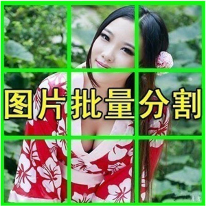 图片批量切割软件 图片批量分割工具 批量切图器 图片批量裁剪-北极星资源库