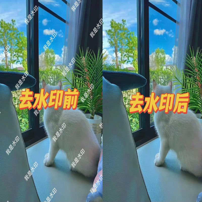 主图_02