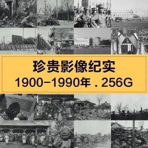 珍贵历史影像纪实1130集视频1900-1990年 256G小学教程-北极星资源库