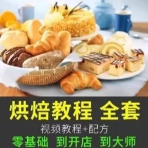 烘培视频全套教程蛋糕点心面包甜品配方课程零基础素材-北极星资源库