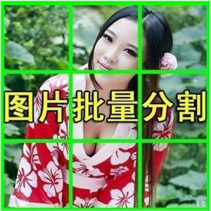 图片批量切割软件 图片批量分割工具 批量切图器 图片批量裁剪-北极星资源库
