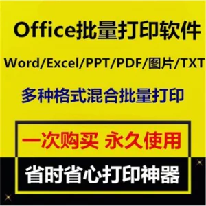 Office批量打印软件工具 Word/Excel/PPT/图片/PDF批量打印软件-北极星资源库