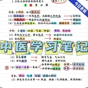 彩色中医手写笔记中医学理论中医学笔记资料参考中医考研学霸笔记-北极星资源库