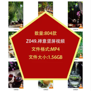 茶艺喝茶品茶竖屏泡茶文化意境禅意自媒体剪辑高清抖音短视频素材-北极星资源库