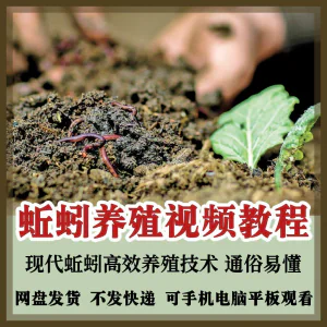 蚯蚓养殖技术视频教程素材零基础农业创业大棚如何养蚯蚓高效素材-北极星资源库
