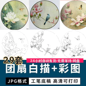 工笔花鸟白描国画团扇线描底稿彩图临摹参考电子版高清图片素材库
