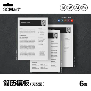 6套高级英文简历Word简历 ai psd设计师简历模板毕业生简历CV29-北极星资源库