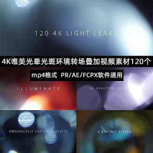 120组高清唯美Pr光晕炫光光斑电影MV婚礼光效转场MP4特效视频素材-北极星资源库