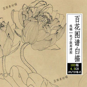 百花图谱白描线稿图集 国画花卉植103幅tif格式3.6G高清图片素材-北极星资源库