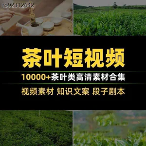 茶叶茶业茶具茶道茶艺茶文化知识文案茶园采茶泡茶高清短视频素材-北极星资源库
