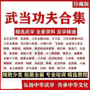 武当功夫拳法视频教程内功养生太极轻功剑法太乙五行拳武术课程-北极星资源库