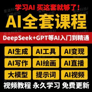 AI课程视频教程ai赚钱变现人工智能课程学习教学deepseek使用教程-北极星资源库
