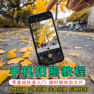 手机摄影教程拍摄拍照课程从入门到精通技巧人像修图剪辑亲子风景-北极星资源库