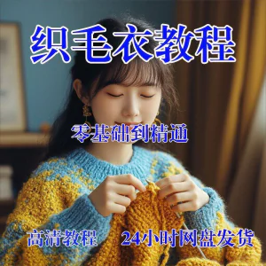 手工织毛衣视频零基础传统棒针钩针毛线编织婴儿童全套-北极星资源库