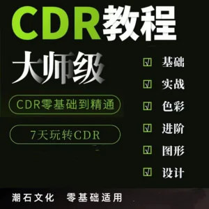 cdr教程视频Coreldraw自学平面设计广告排版零基础入门学习课程-北极星资源库