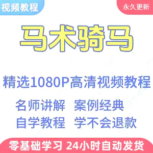马术骑马视频学习教程新手小白自学零基础入门精通教学课程全集-北极星资源库