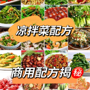 摆地摊街边特色自选拌凉菜小菜制作小吃技术配方教程培训视频教学-北极星资源库