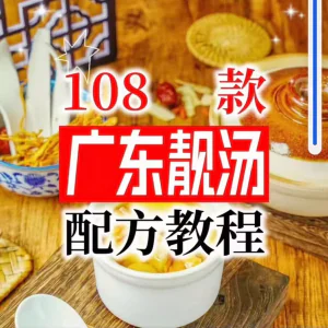 【拍下即送】108种广东靓汤视频教程100+广府靓汤商用技术实体店-北极星资源库