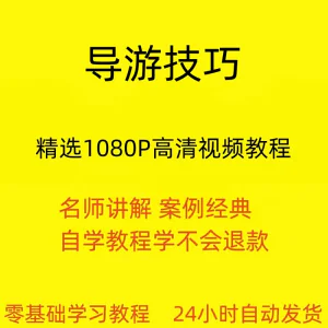 导游技巧视频教程新手自学零基础入门精通教学课程全集