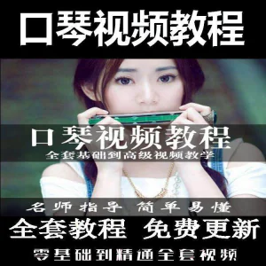 口琴自学教程视频零基础初学者入门到专业十孔24孔教学-北极星资源库