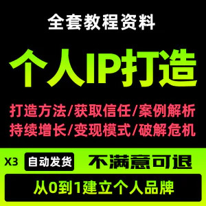 个人IP打造教程如何快速打造个人IP社交品牌定位训练营资料大全新-北极星资源库