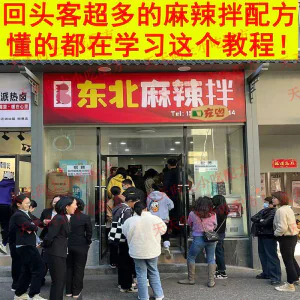 新特色小吃麻辣拌配方技术秘方正宗东北抚顺做法商用摆摊视频教程-北极星资源库