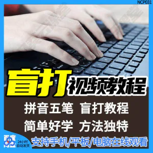 盲打不看键盘打字视频教学网课指法纠正零基础普通键盘私教版资料-北极星资源库