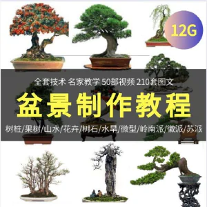 盆景制作技术视频教程工艺教学果树桩山水微型造型全套-北极星资源库