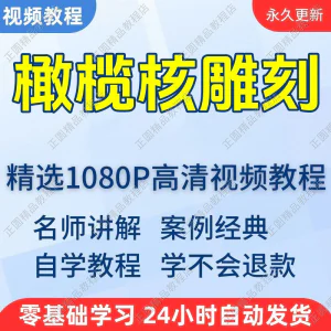 橄榄核雕刻视频学习教程新手自学零基础入门精通教学课程全集