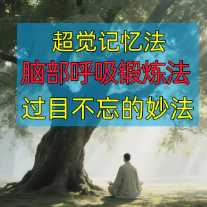 过目不忘修炼记忆力脑部呼吸锻炼法改造大脑健身气功养生训练方法-北极星资源库