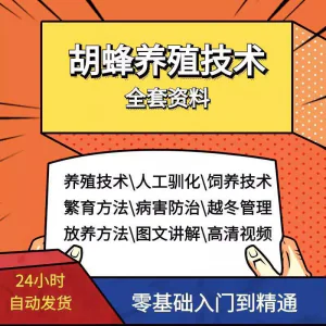 胡蜂养殖技术蜜蜂视频资料黄蜂黑盾怎样养胡蜂人工饲养教程大全-北极星资源库