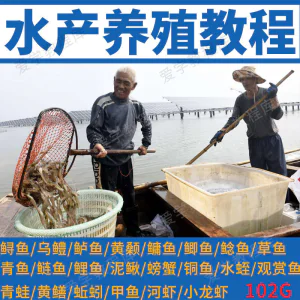 水产养殖影片教程黄颡泥鳅螃蟹乌鳢鲈鱼鲟鱼水蛭养鱼技术培训课程-北极星资源库