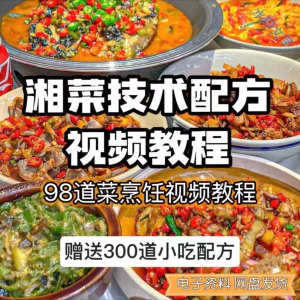【0.01秒发】98道湘菜技术配方视频教程商用湖南菜炒菜特色小吃-北极星资源库