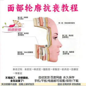 美商课程面部轮廓抗衰美肤减龄变美视频教程形象管理内在美好气色-北极星资源库