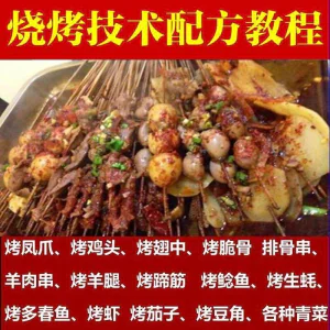 正宗全国烧烤技术配方全套视频教程配料技巧制作培训教学资料大全-北极星资源库