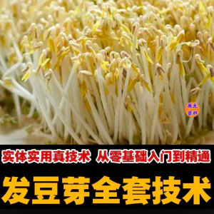 自学发豆芽技术资料豆芽加工制作方法教学 培育豆芽商用视频教程-北极星资源库