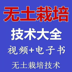 无土栽培视频教程蔬菜无土栽培教程原理无土种植栽培视频技术资料-北极星资源库